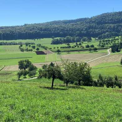 Validating Farmland Biodiversity Life Cycle Assessment at the Landscape Scale